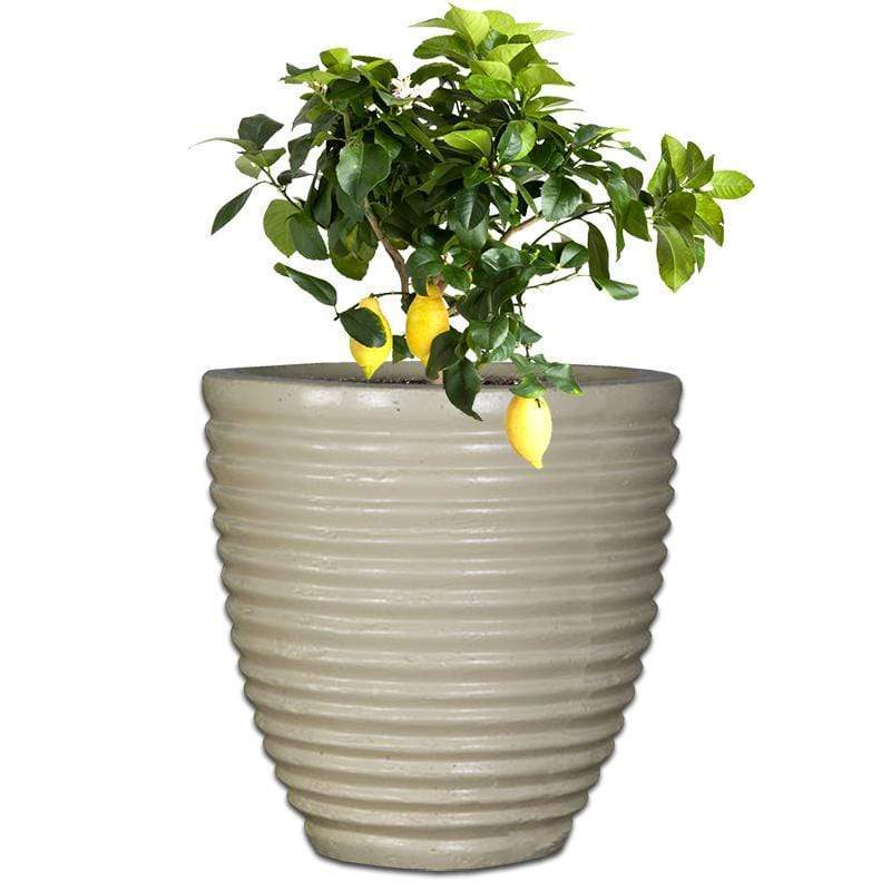 Honey Pot Concrete The Pot Shack Gauteng Concrete Pot