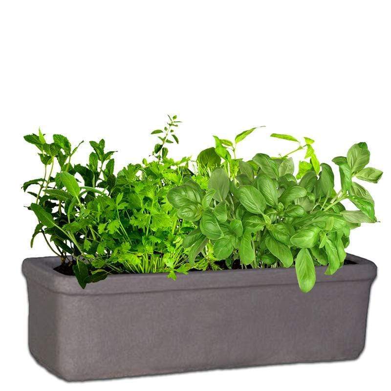 Mini Herb Planter Concrete Pot The Pot Shack Gauteng Concrete Pot