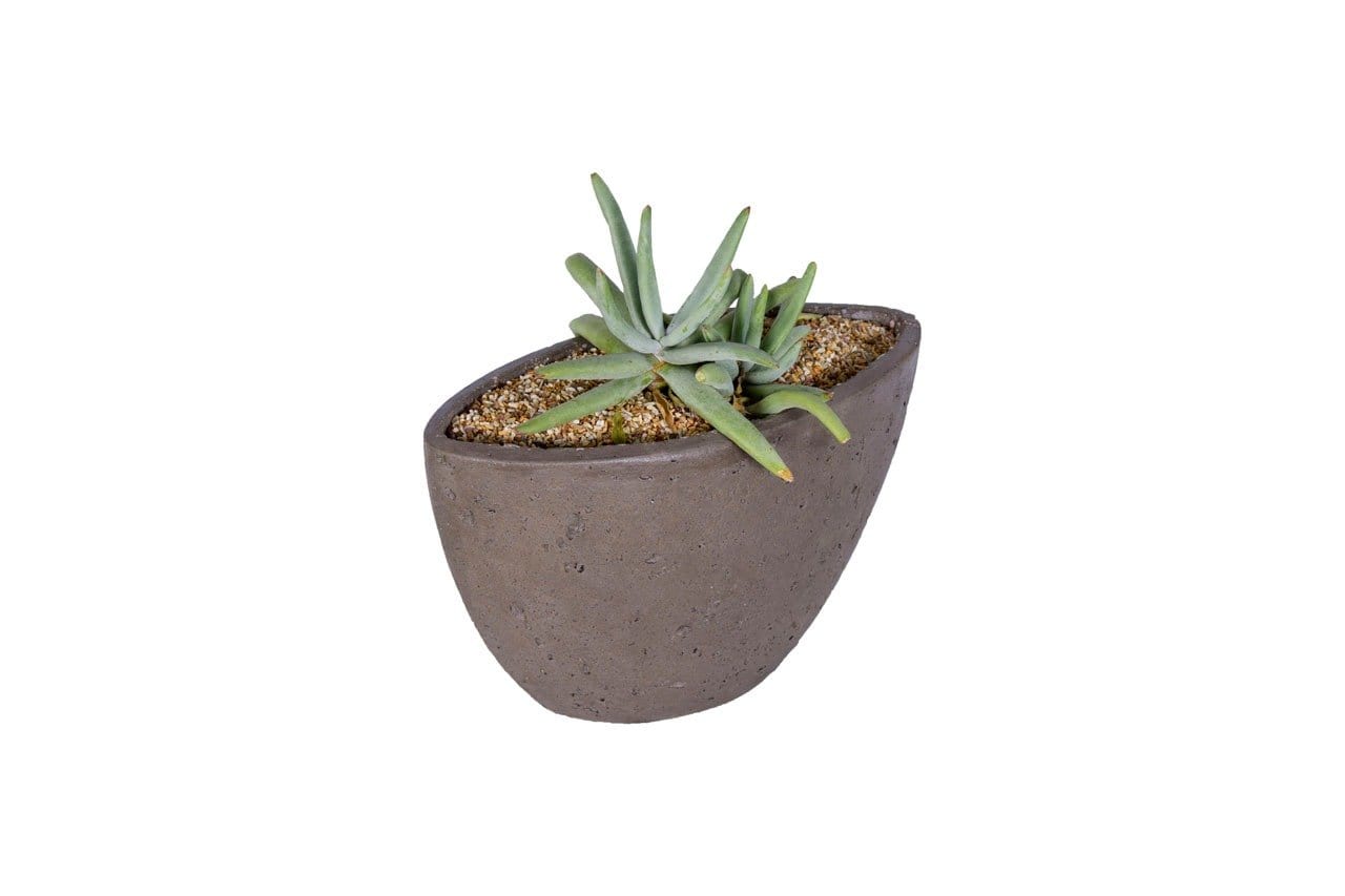 Mini Planter Oval Concrete Pot The Pot Shack Gauteng Concrete Pot
