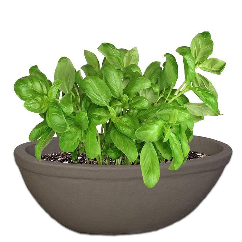 Mini Planter Oval Concrete Pot The Pot Shack Gauteng Concrete Pot