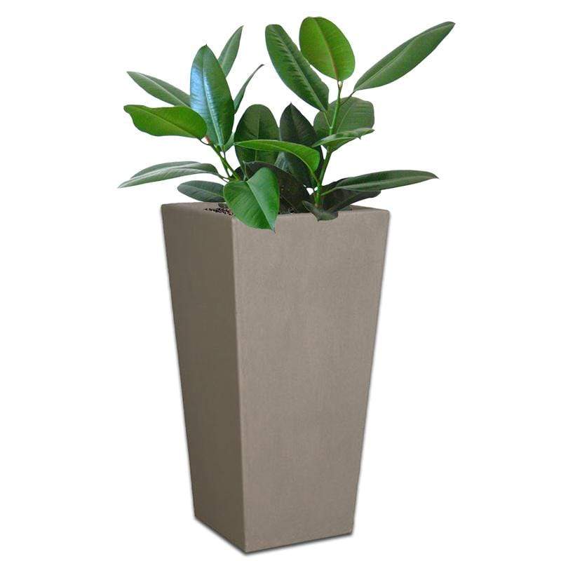 Nevada Concrete Pot