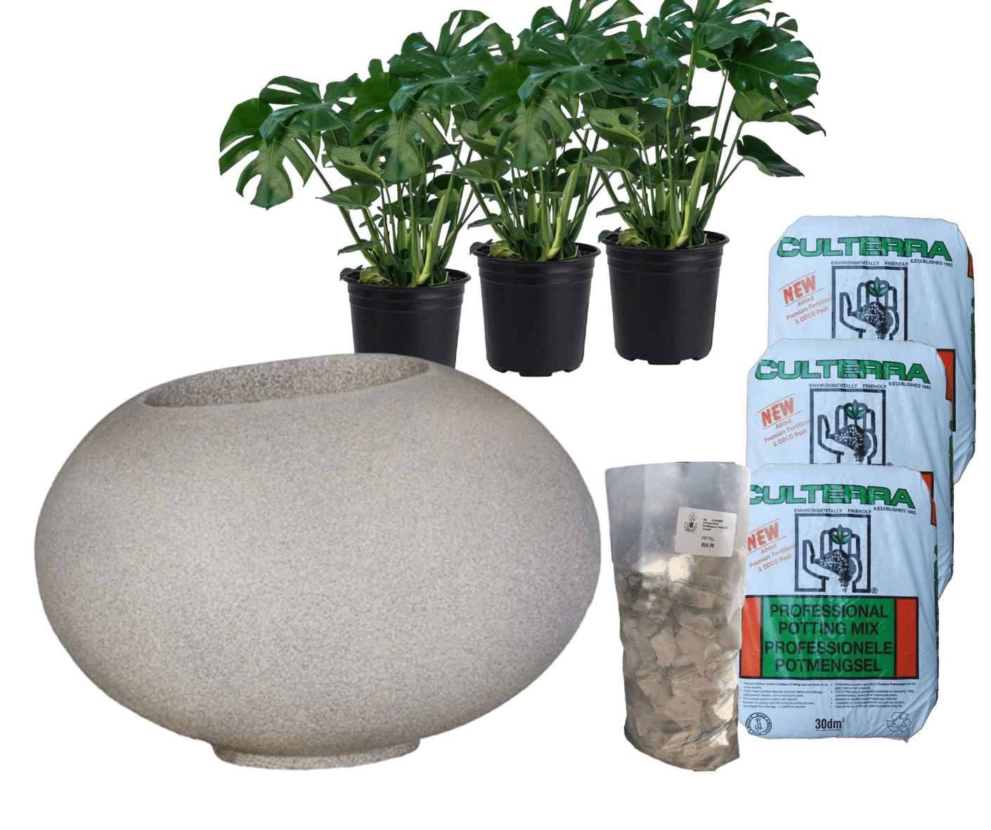 Planted Arizona | Shade The Pot Shack Gauteng Concrete Pot
