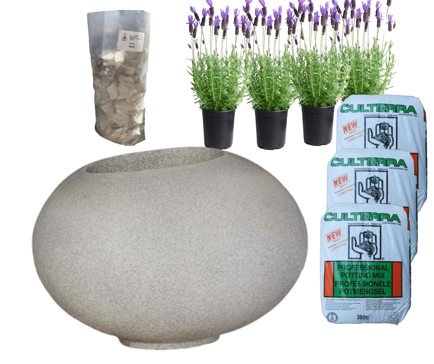 Planted Arizona | Sun The Pot Shack Gauteng Concrete Pot