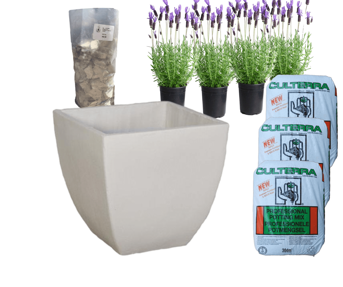 Planted Bolivia | Sun The Pot Shack Gauteng Concrete Pot