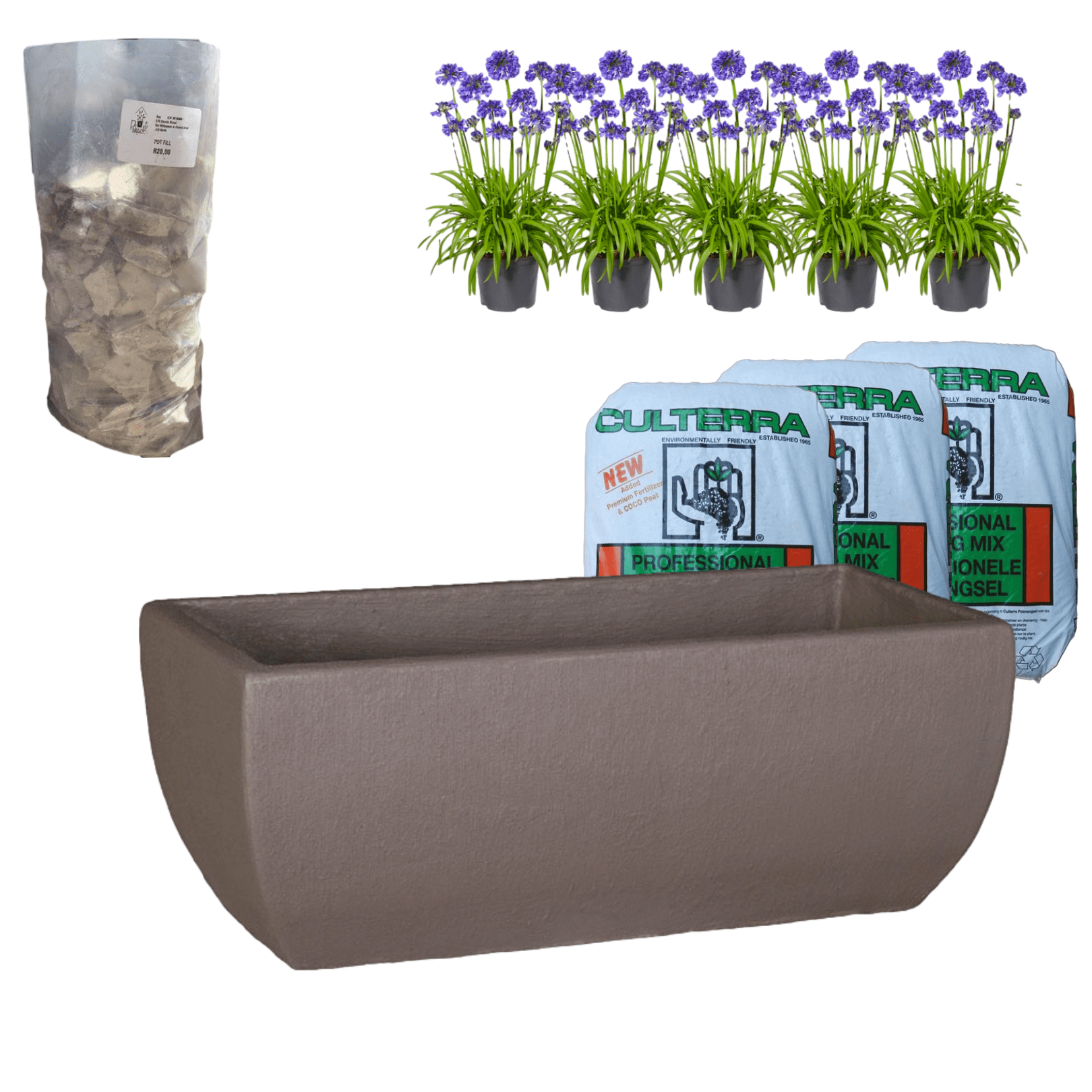 Planted Bollivia Trough | Sun The Pot Shack Gauteng Concrete Pot