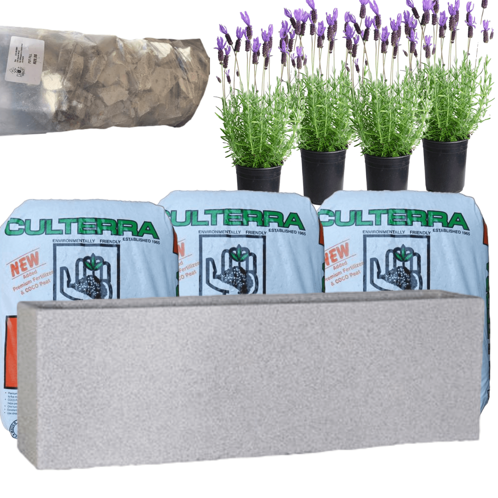 Planted Curo Trough | Sun The Pot Shack Gauteng Concrete Pot