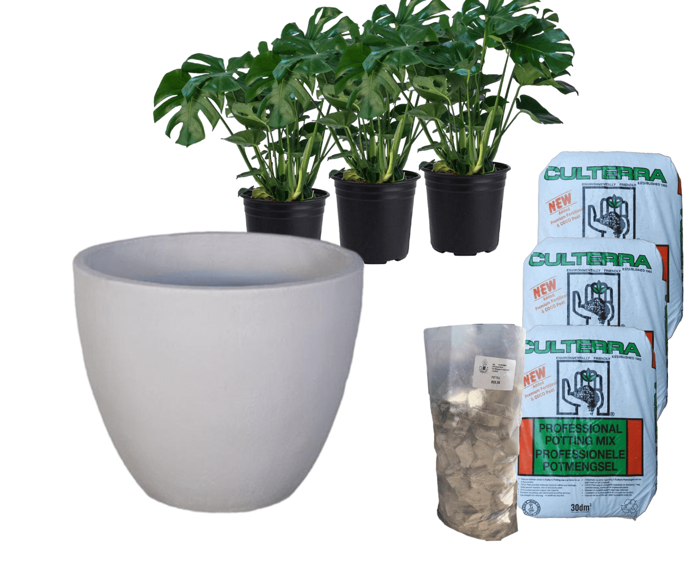 Planted Egg | Shade The Pot Shack Gauteng Concrete Pot