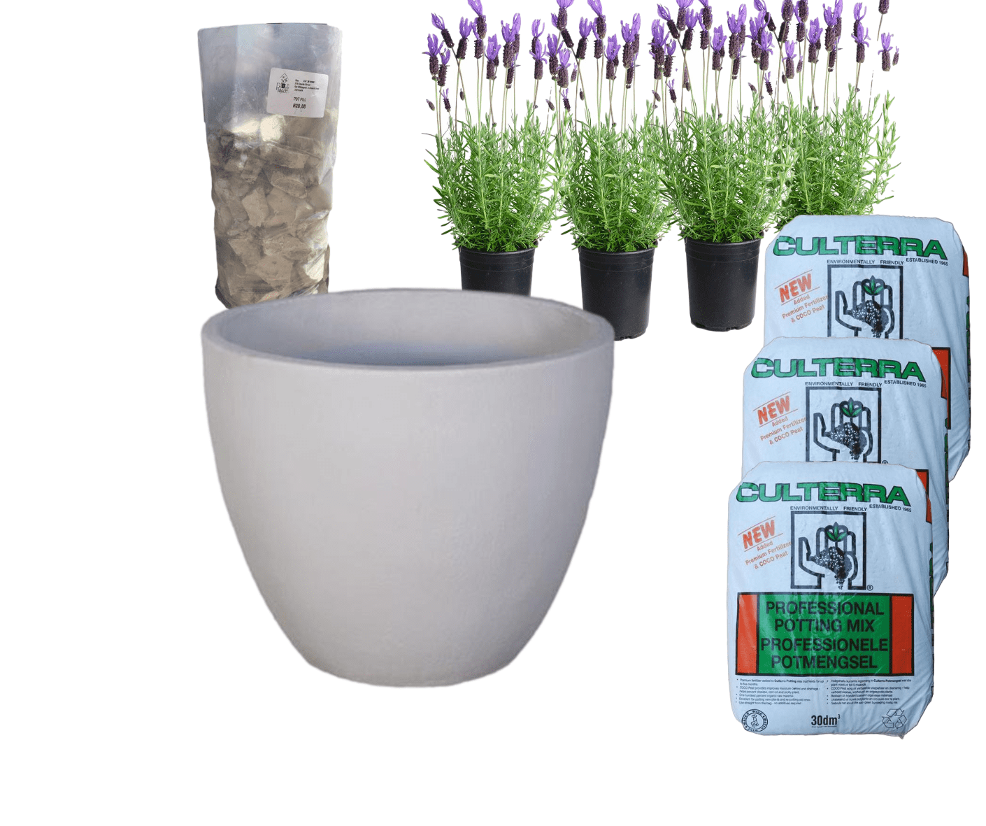 Planted Egg | Sun The Pot Shack Gauteng Concrete Pot
