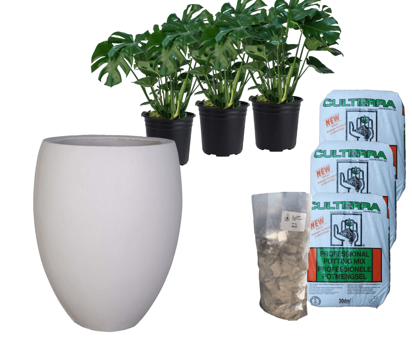 Planted Eggin | Shade The Pot Shack Gauteng Concrete Pot