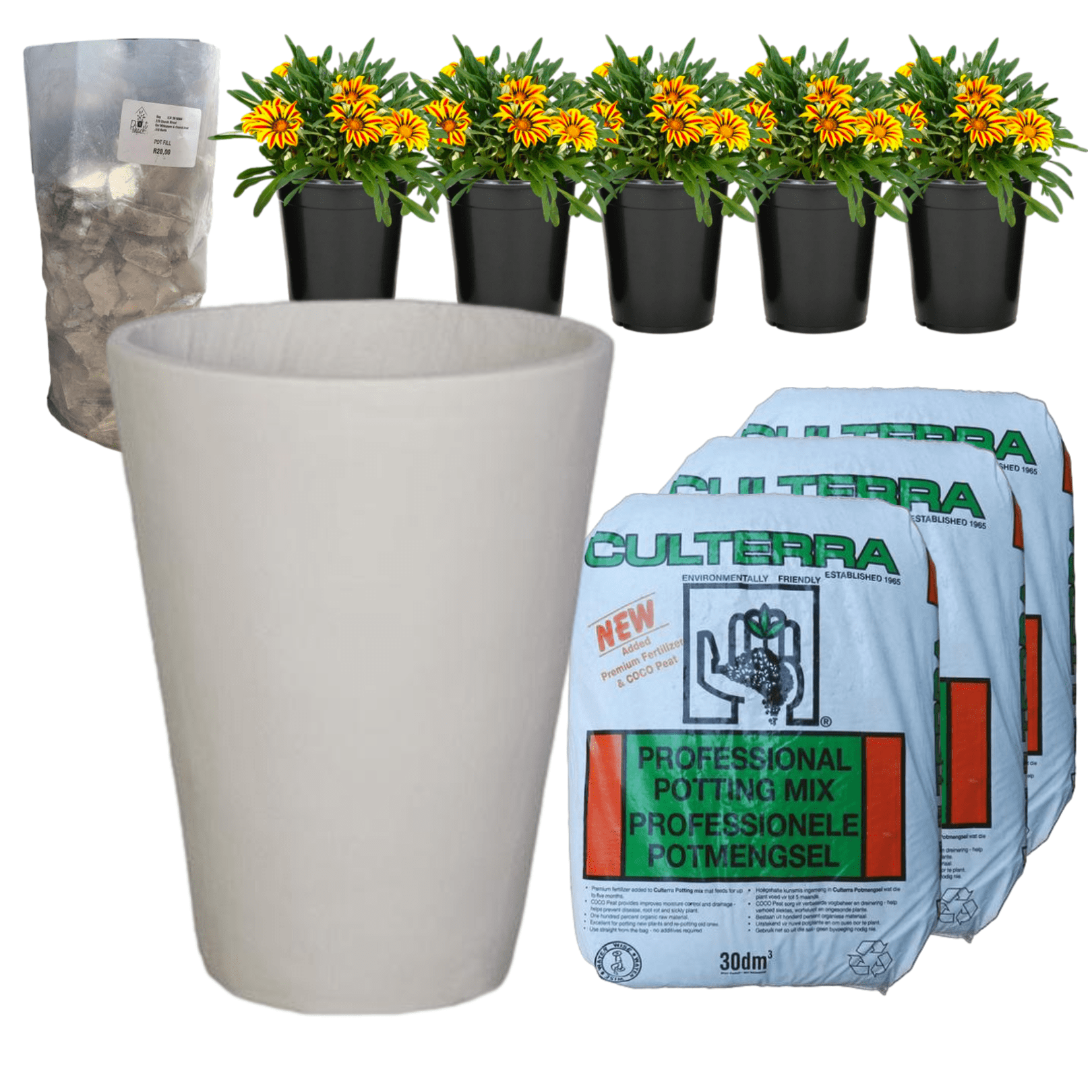 Planted Iris | Sun The Pot Shack Gauteng Concrete Pot