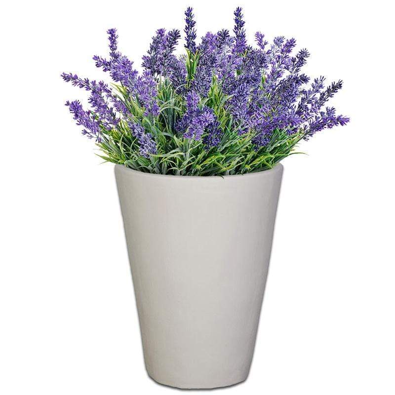 Planted Iris | Sun The Pot Shack Gauteng Concrete Pot