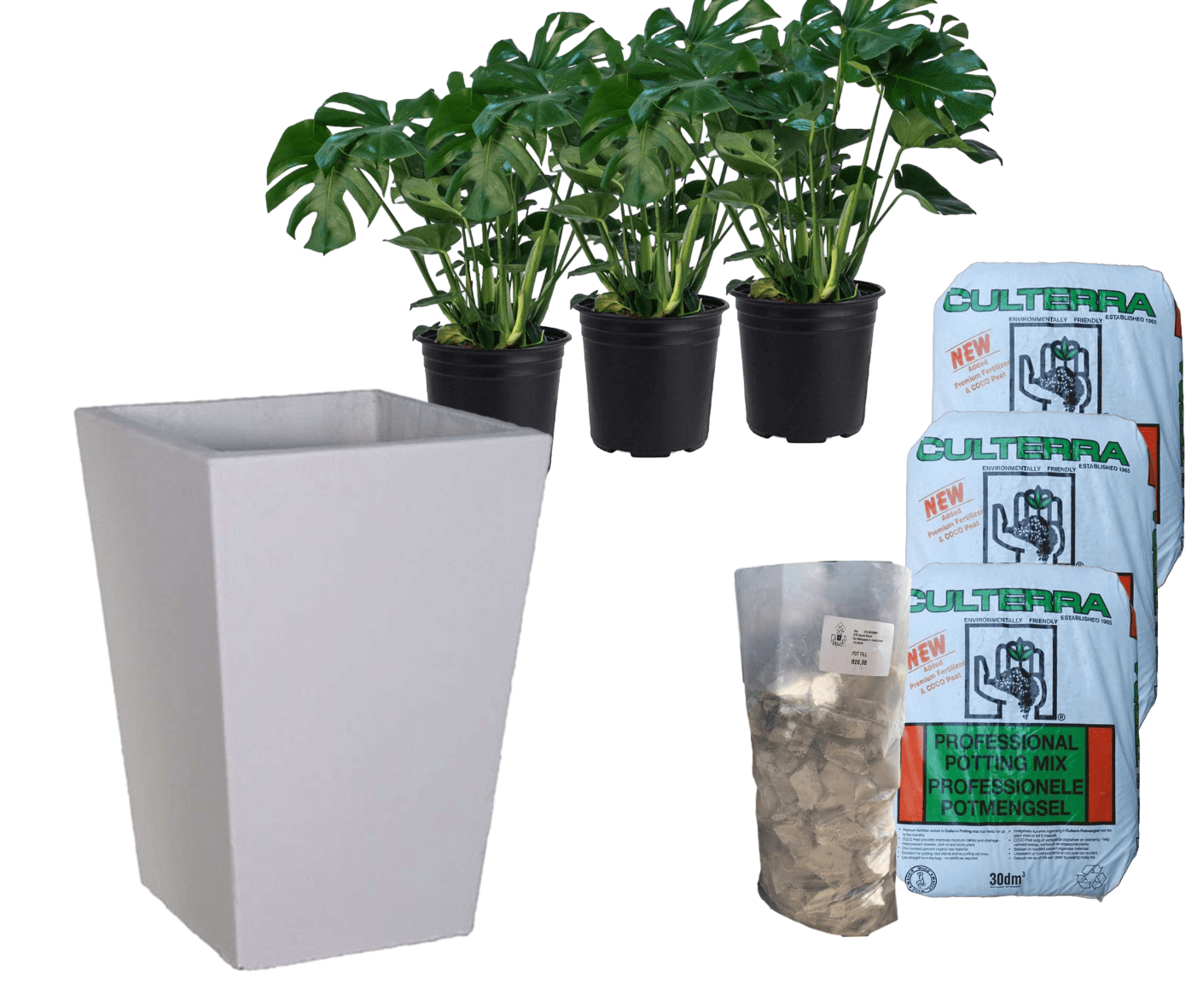 Planted Windsor | Shade The Pot Shack Gauteng Concrete Pot