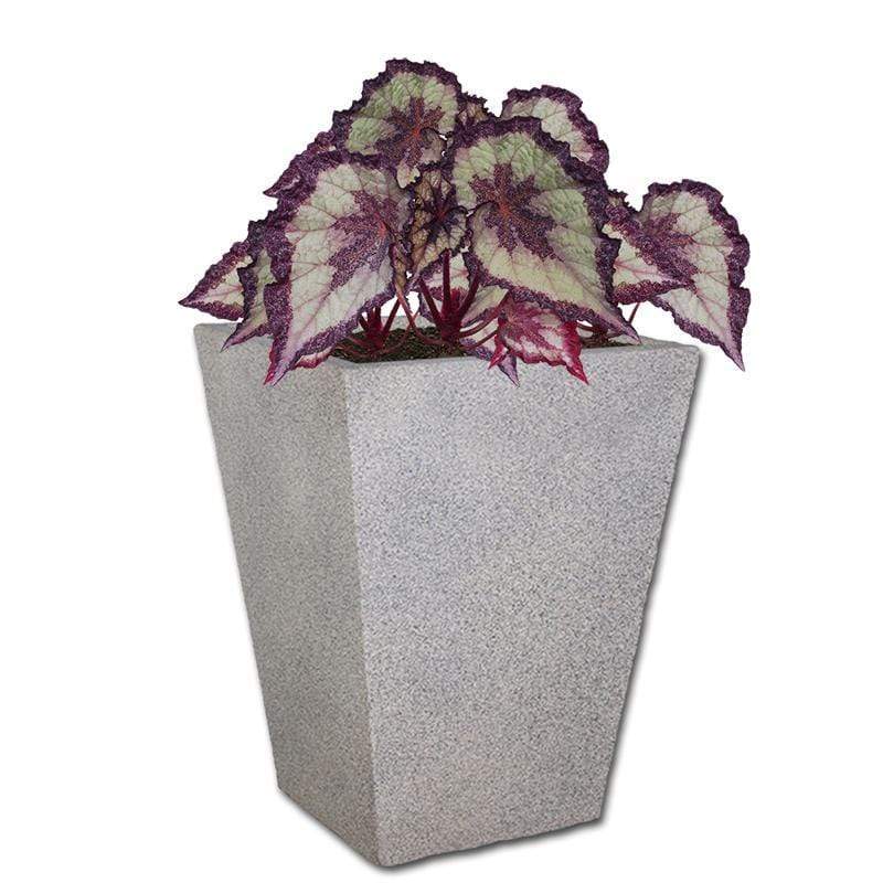 Planted Windsor | Shade The Pot Shack Gauteng Concrete Pot