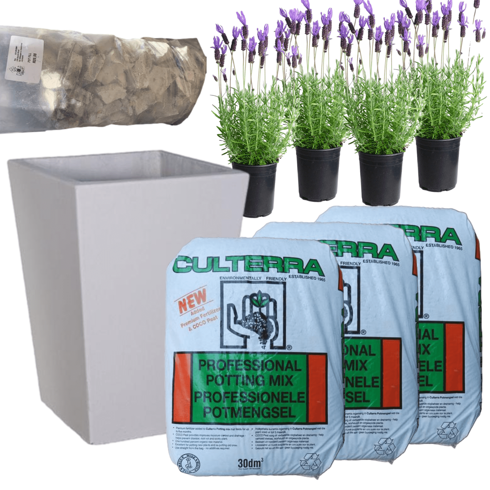 Planted Windsor | Sun The Pot Shack Gauteng Concrete Pot