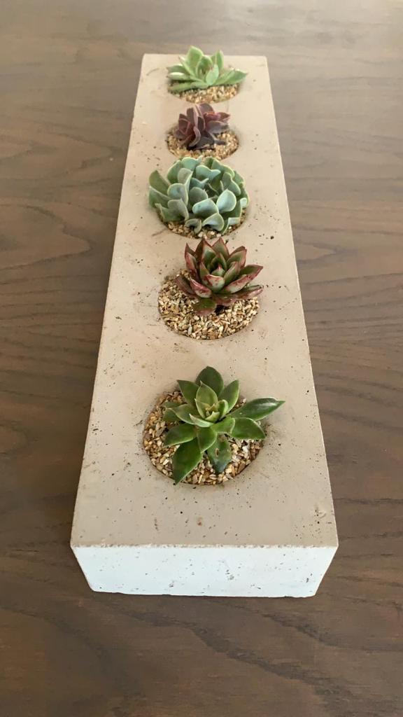 Succulent Planter The Pot Shack Gauteng Concrete Pots