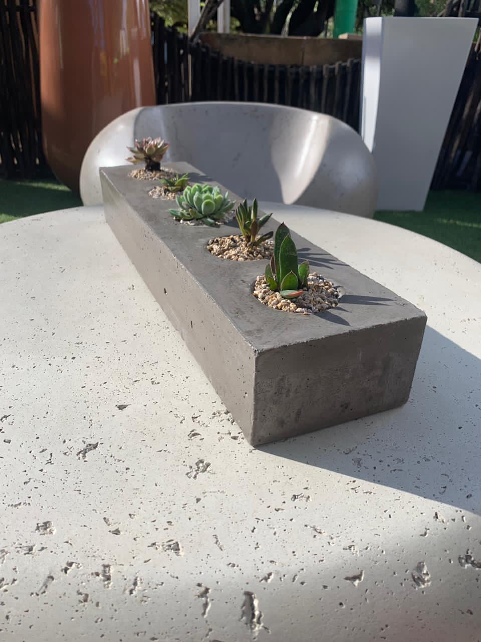 Succulent Planter The Pot Shack Gauteng Concrete Pots