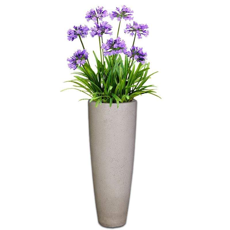 Tequila Concrete Pot The Pot Shack Gauteng Concrete Pot