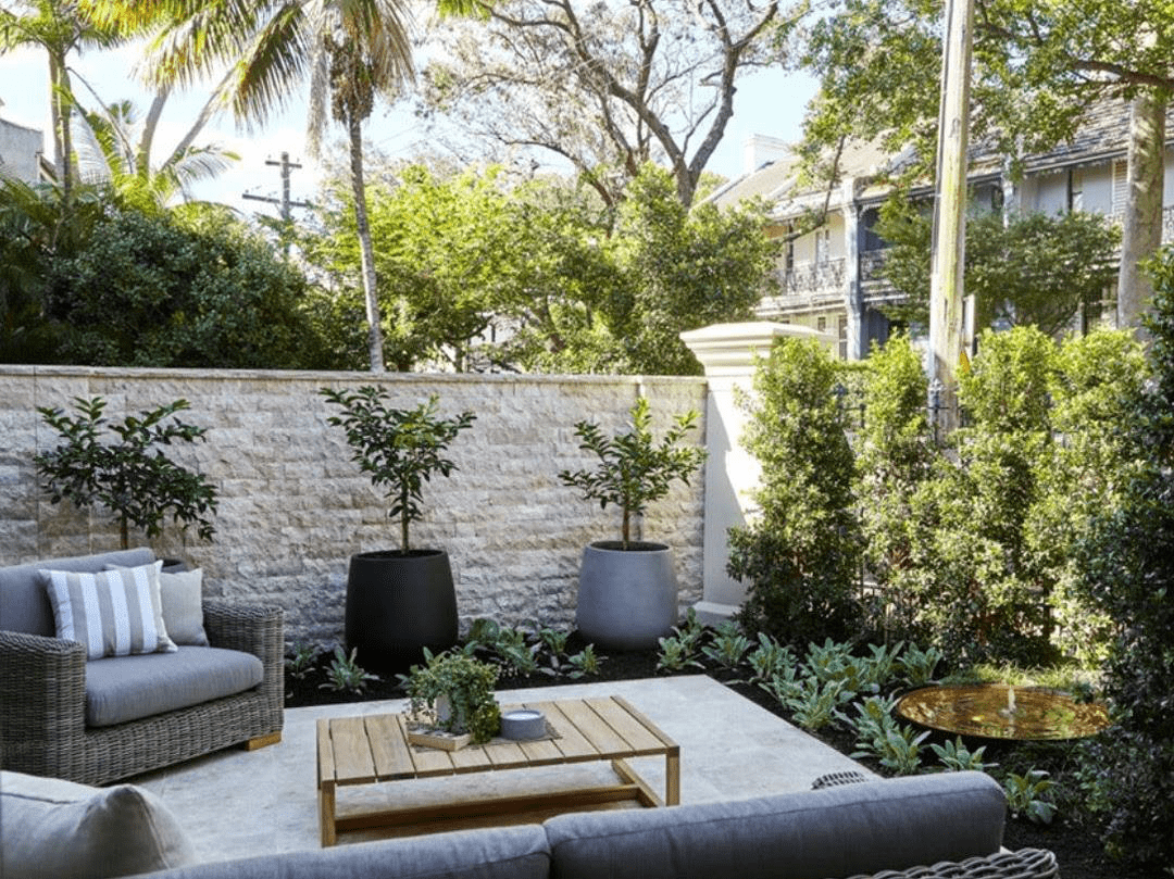 A walled courtyard garden with small trees in concrete pots around outdoor seating