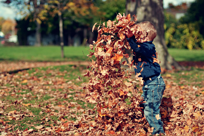 Gardening with your Children