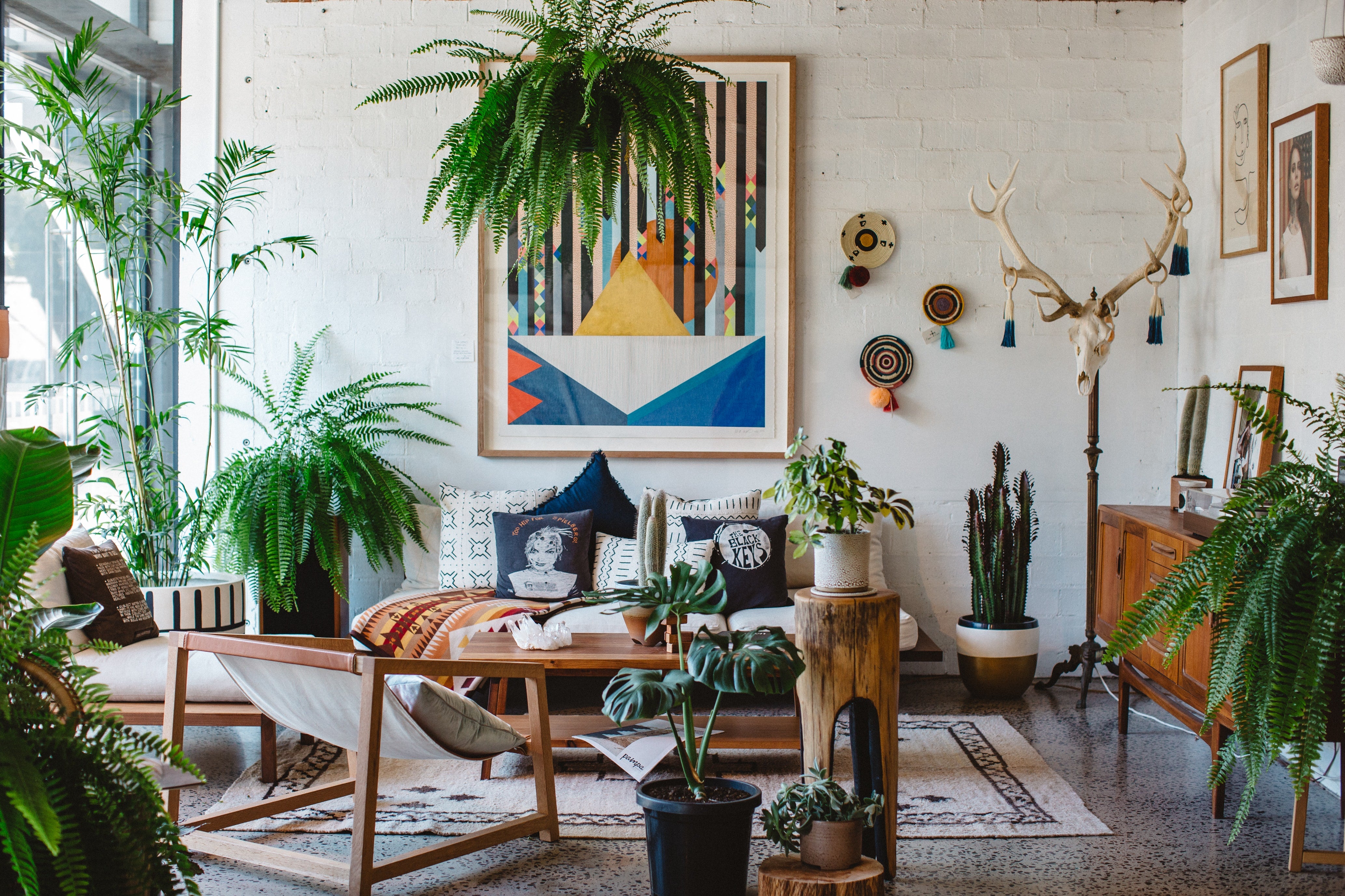 Using Houseplants to Create a Beautiful Indoor Spaces