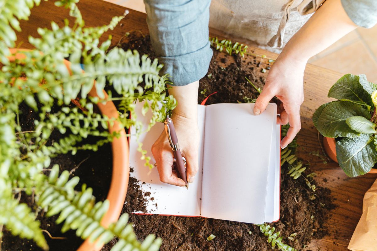 Someone planning a garden in a notebook surrounded by potted plants and soil