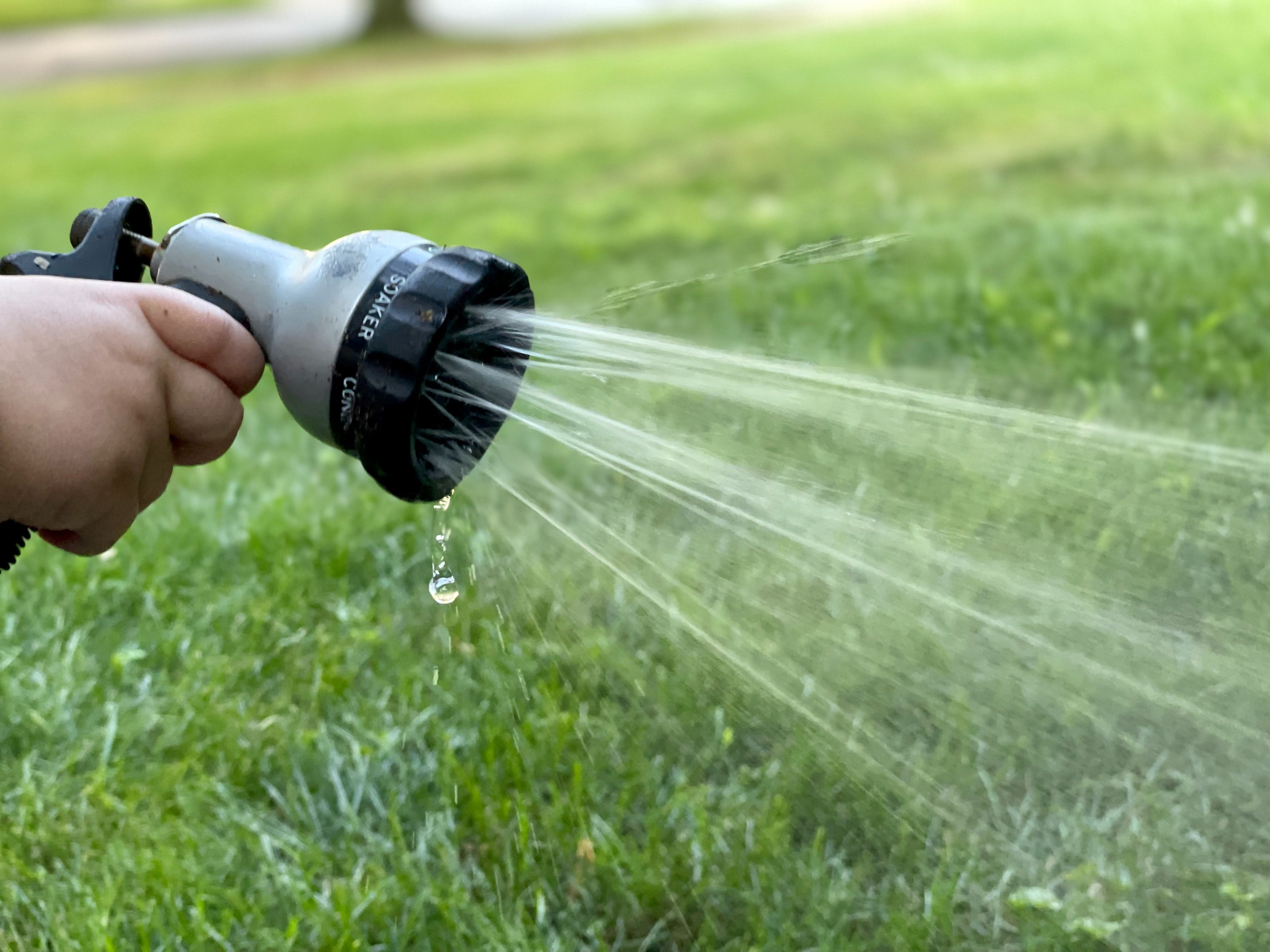 Assess Your Garden's Water Requirements