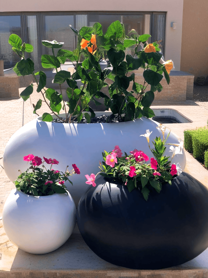 Pot Shack customer garden