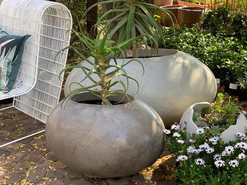 Pot Shack customer garden