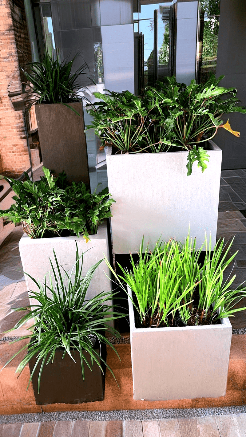 Pot Shack customer garden