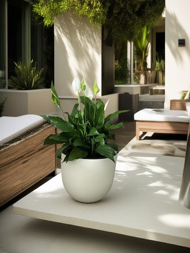 Pot Shack customer garden