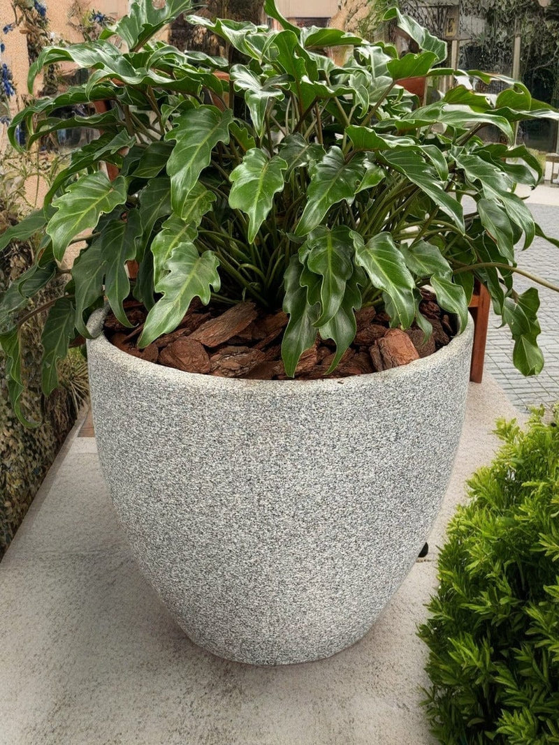 Pot Shack customer garden