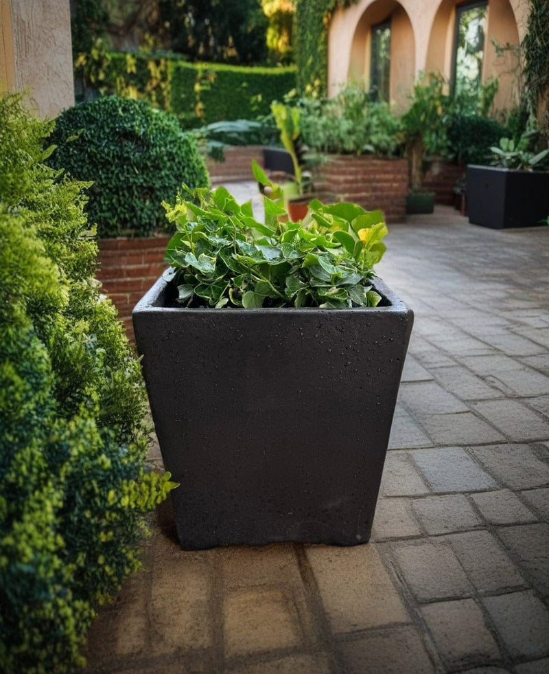 Pot Shack customer garden
