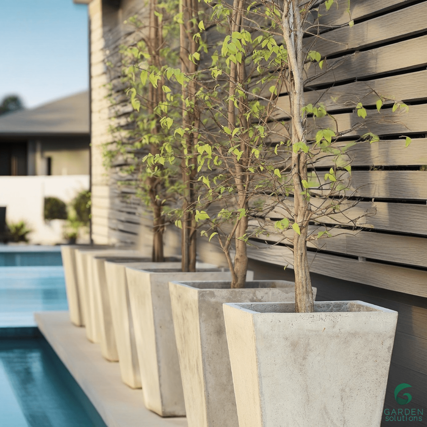 Windsor courtyard set