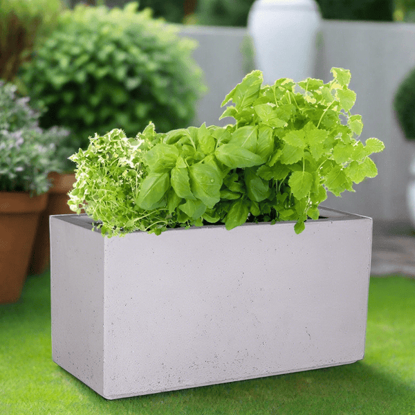 Chunky Trough Concrete Pot - The Potshack