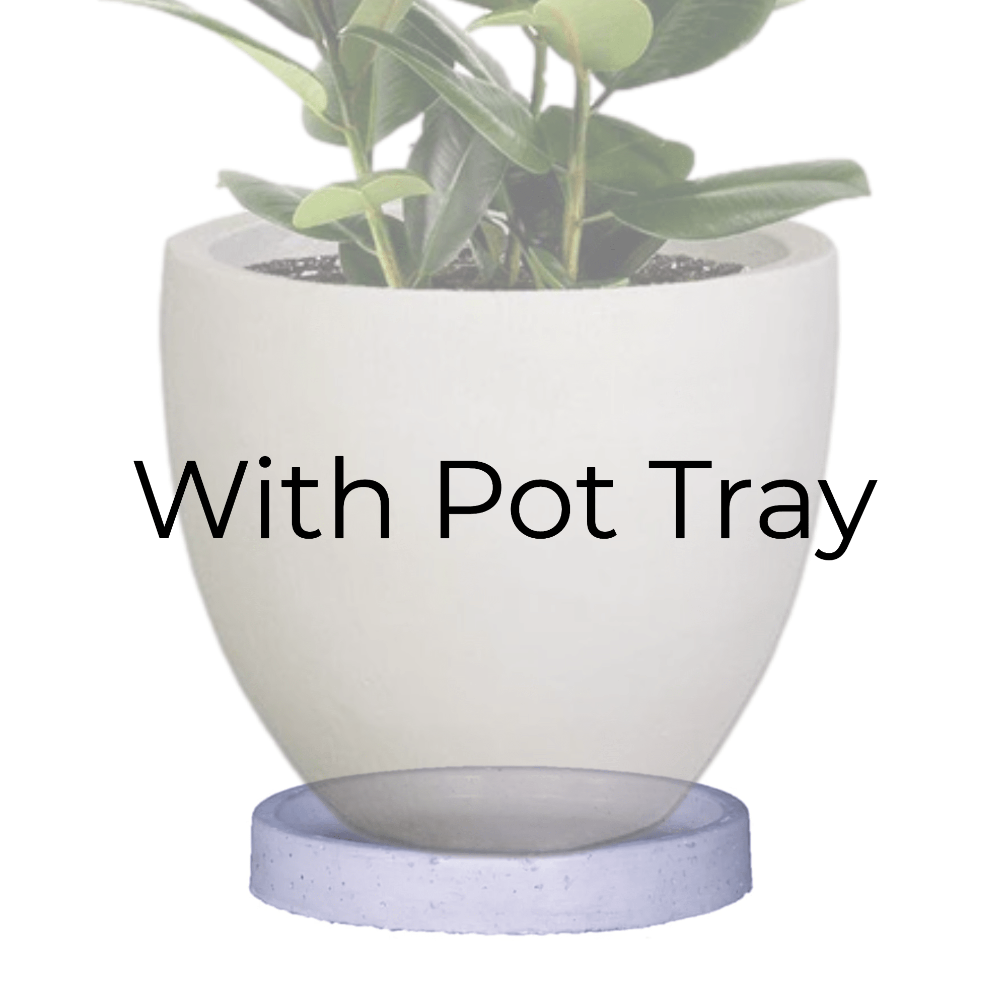 Premium Egg Plant Pot The Pot Shack Gauteng Concrete Pot