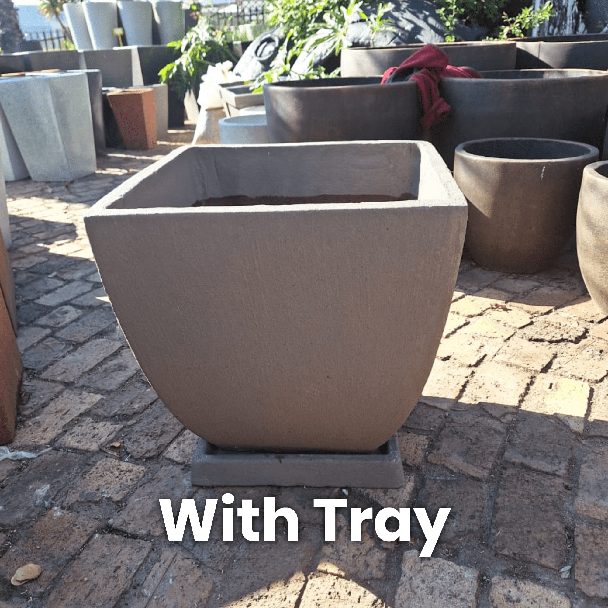 Premium Tulip Plant Pot The Pot Shack Gauteng Concrete Pots