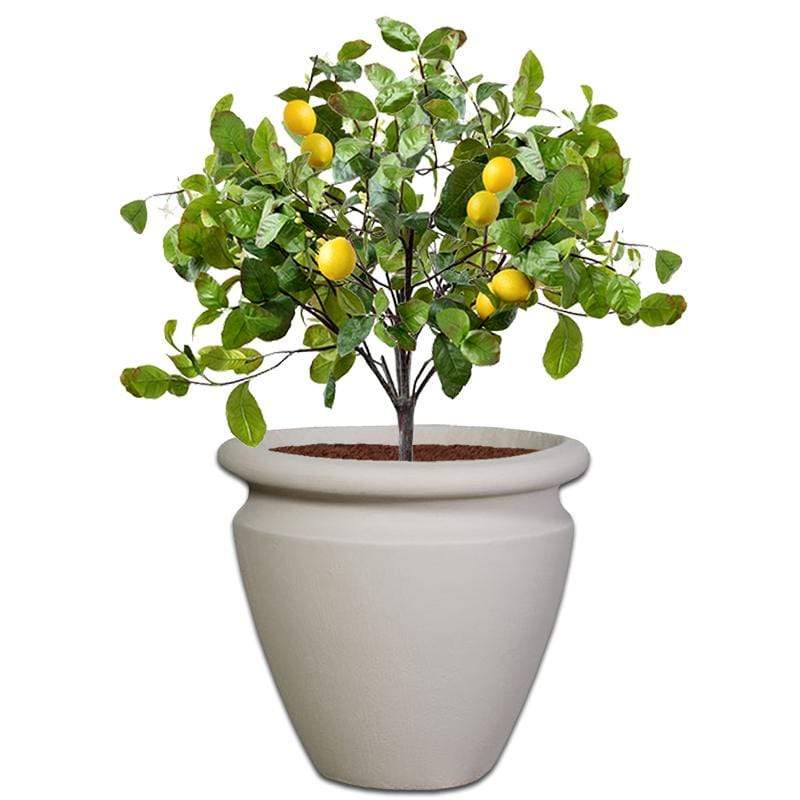 Carmen Plant Pot