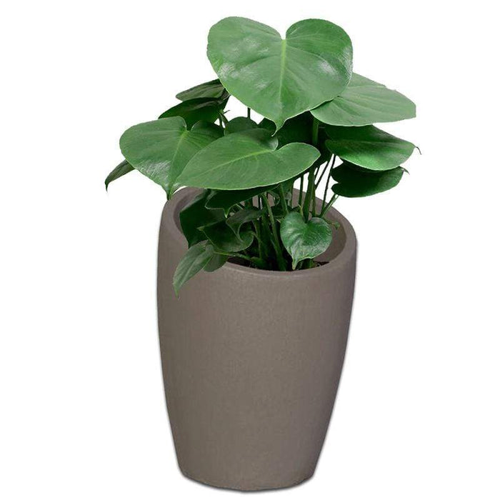 Shop Our Most Popular Range - The Potshack
