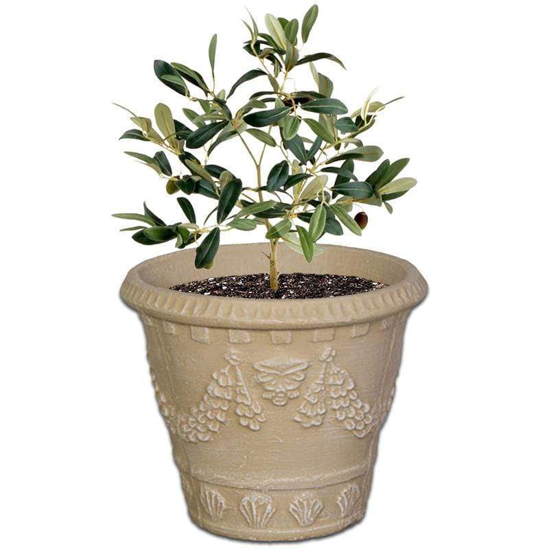 Italia Concrete Pot - The Potshack