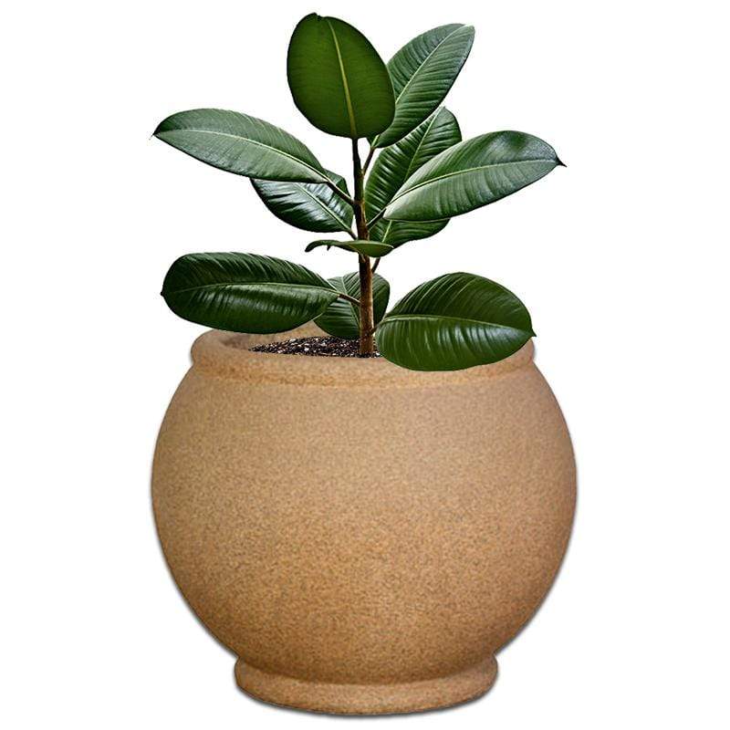 Oval Concrete Pot - The Potshack
