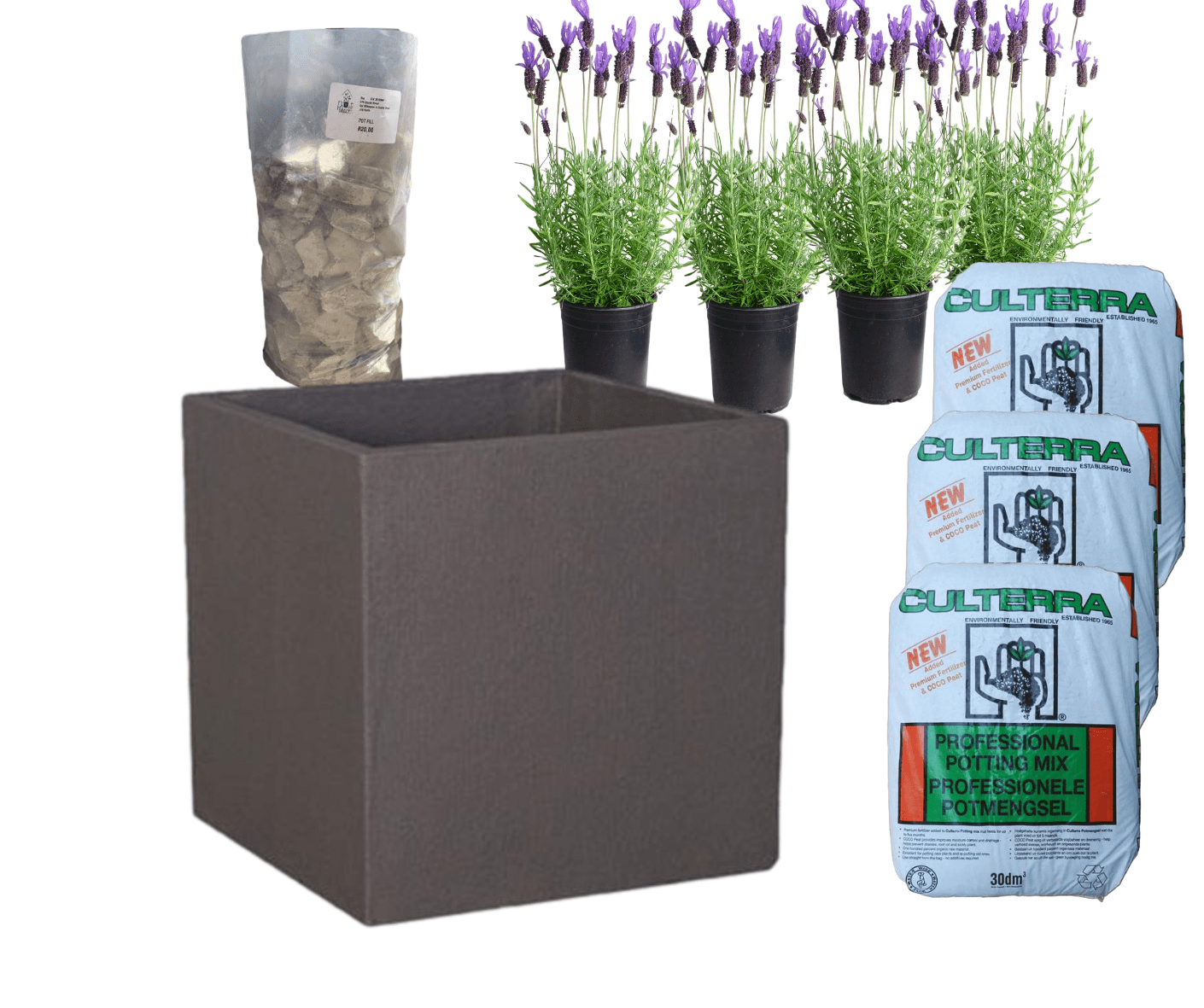 Planted Cube | Sun The Pot Shack Gauteng Concrete Pot