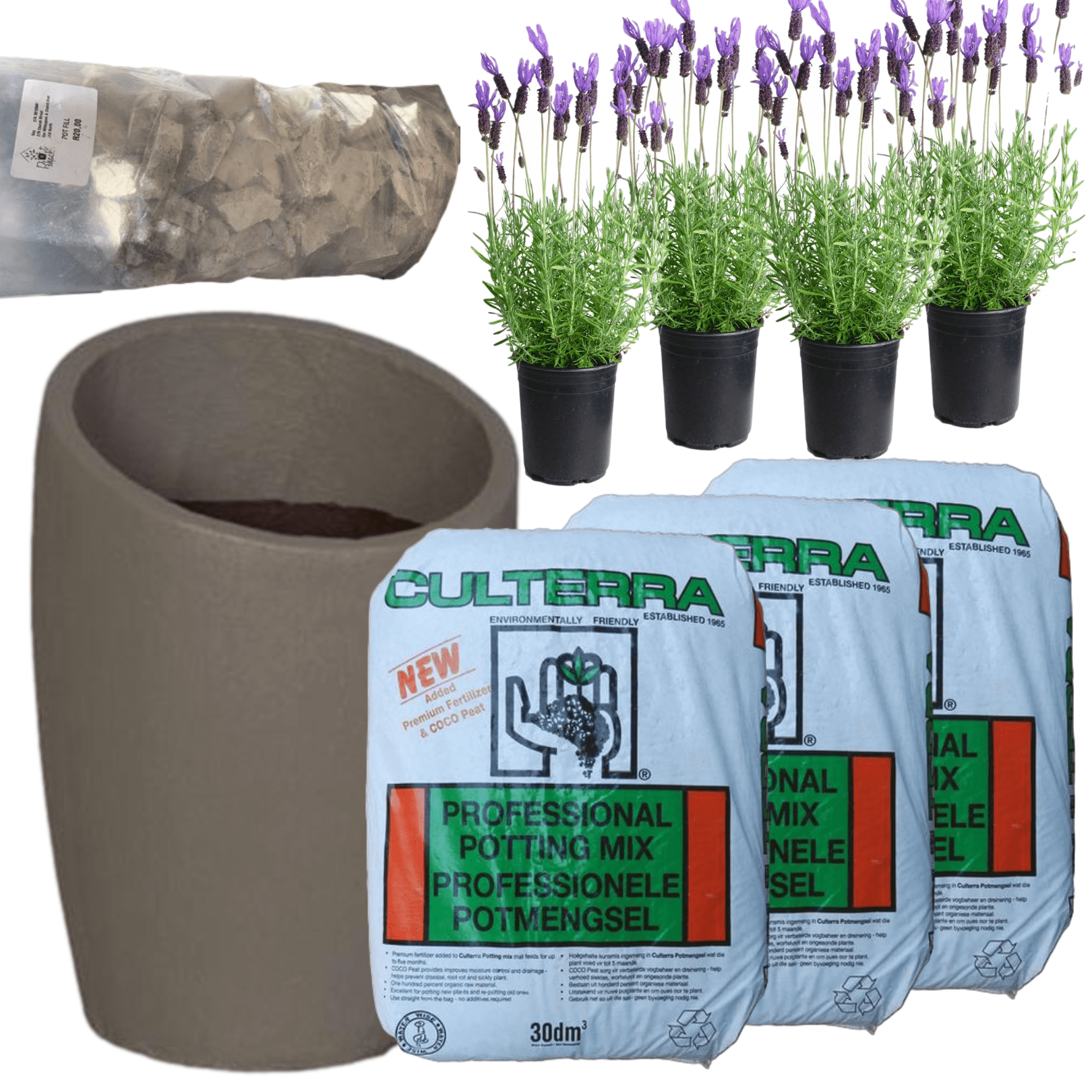 Planted Estantia | Sun The Pot Shack Gauteng Concrete Pot