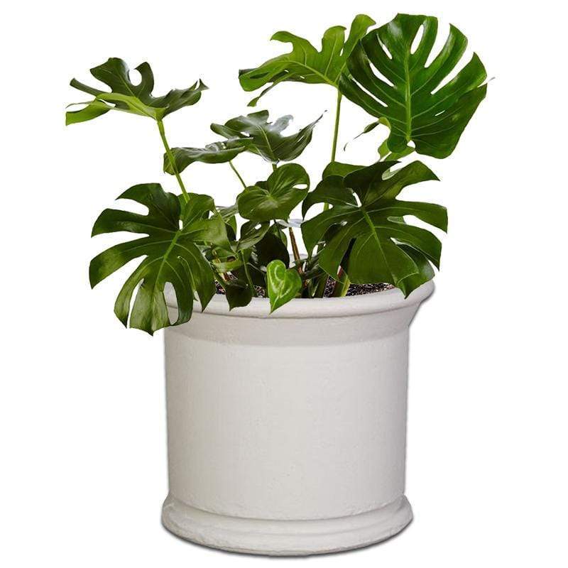 Potter Concrete Pot The Pot Shack Gauteng Concrete Pot