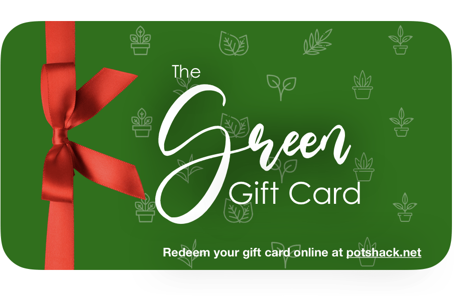 The Gift Of Green Gift Card The Pot Shack Gauteng Gift card